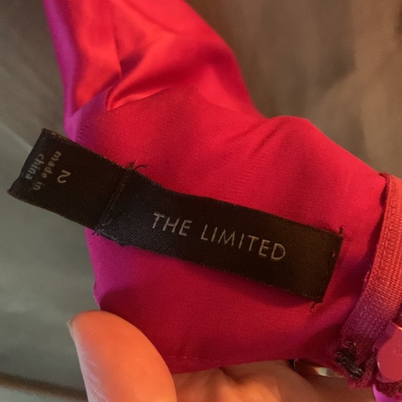 The Limited Dress - Picture 5 of 11